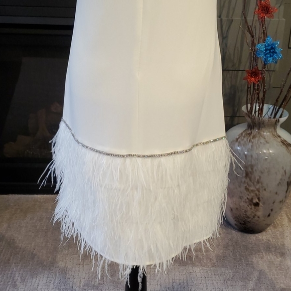 NWT Tahari Feather Trim Shift Dress - Picture 8 of 12